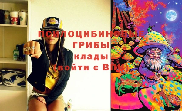 амф Алексин