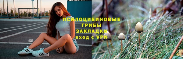 амф Алексин