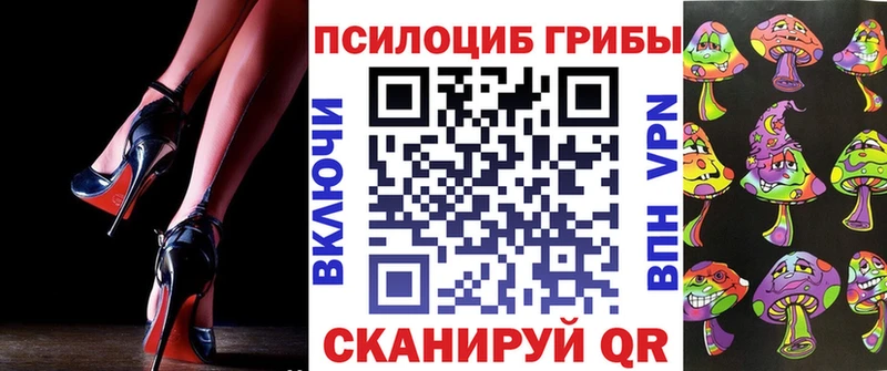OMG ссылка  Данилов  Псилоцибиновые грибы Magic Shrooms  купить  сайты 